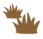 庭木・雑草の確認のイメージ画像