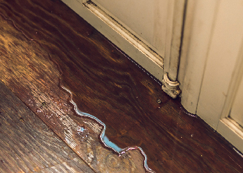 雨漏りのイメージ画像