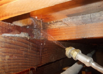 害虫消毒のイメージ画像