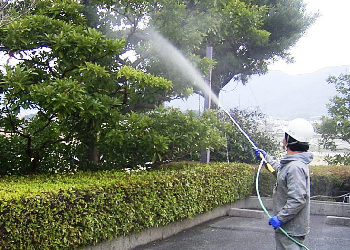 害虫消毒のイメージ画像