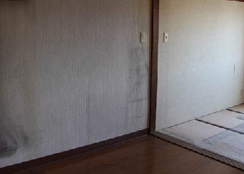 壁紙・クロスのイメージ画像